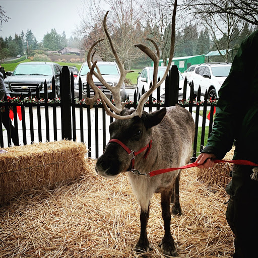 Country Club «Overlake Golf and Country Club», reviews and photos, 8000 NE 16th St, Medina, WA 98039, USA