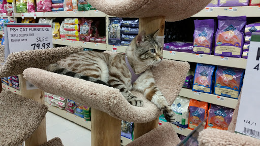 Pet Supply Store «Pet Supplies Plus», reviews and photos, 4505 S 76th St, Greenfield, WI 53220, USA