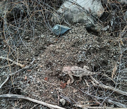 La Cresta Trailhead (Hiking) photo