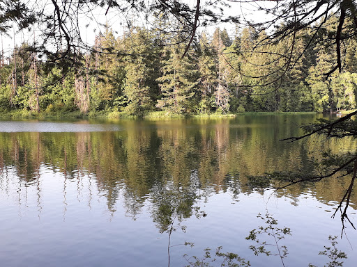 Produce Market «Camas Produce», reviews and photos, 2940 NE Everett St, Camas, WA 98607, USA