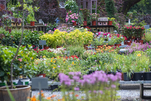 Sod Supplier «Woerner Landscape Source & Pet Supply - Pensacola», reviews and photos, 1332 Creighton Rd, Pensacola, FL 32504, USA