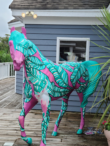 Pet Supply Store «Outer Barks - Water Front Shops», reviews and photos, 1240 Duck Rd, Duck, NC 27949, USA