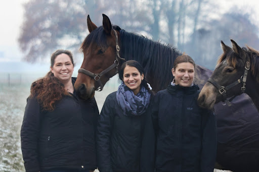 Pferdepraxis an der Niers unter Weeze, Nordrhein-Westfalen