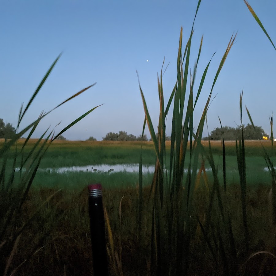 Brush Prairie Ponds SWA
