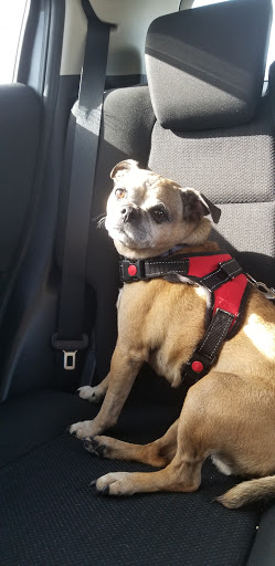 Pet Supply Store «PetSmart», reviews and photos, 290 S Broadway, Salem, NH 03079, USA