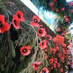Photo n°6 de l'avis de Giovanna.v fait le 13/05/2019 à 19:07 sur le  Osteria Di Bacco à Gianico