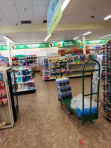 Dollar Store «Dollar Tree», reviews and photos, 1245 MacDade Boulevard, Woodlyn, PA 19094, USA