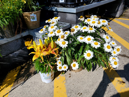 Home Improvement Store «The Home Depot», reviews and photos, 102 Aldi Dr, North Versailles, PA 15137, USA