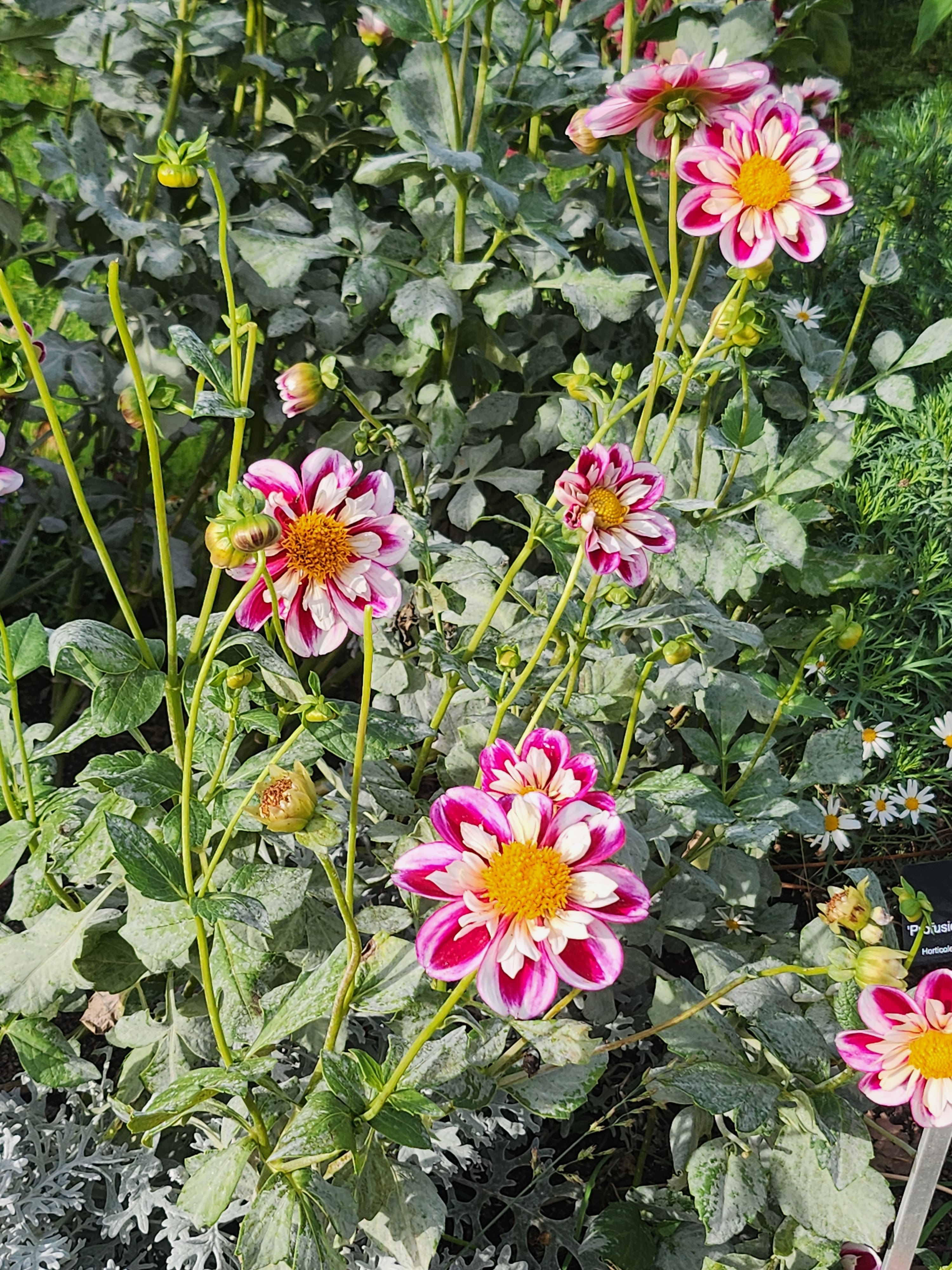 Photo n° 2 de l'avis de cerise.o fait le 17/10/2023 à 06:53