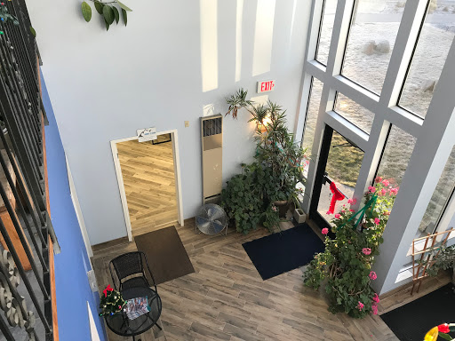 Summit to Shore Chiropractic image