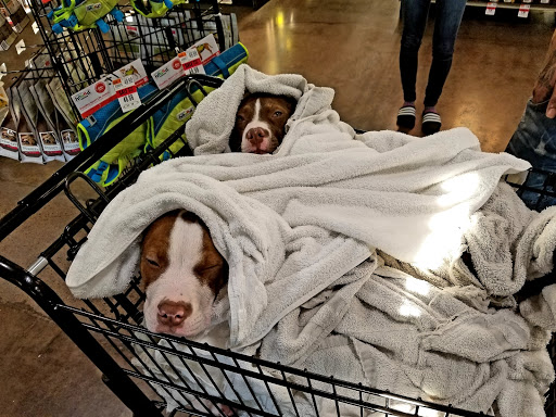 Pet Supply Store «Pet Supplies Plus», reviews and photos, 1704 Greenville Ave, Dallas, TX 75206, USA