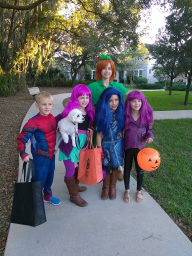 Community Center «Starling Club at Fishhawk Ranch», reviews and photos, 15808 Starling Crossing Dr, Lithia, FL 33547, USA