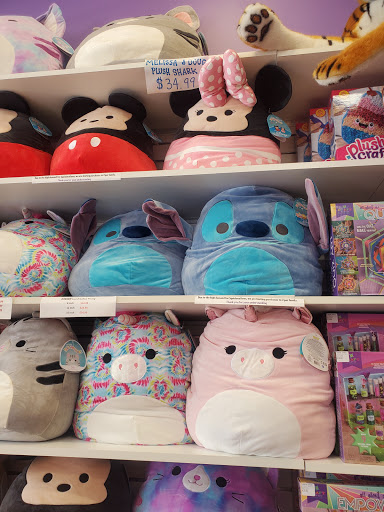 Toy Store «Learning Express», reviews and photos, 610 Commons Dr, Geneva, IL 60134, USA