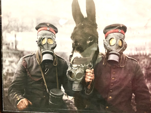 Heritage Museum «Plantation Historical Museum», reviews and photos, 511 N Fig Tree Ln, Plantation, FL 33317, USA