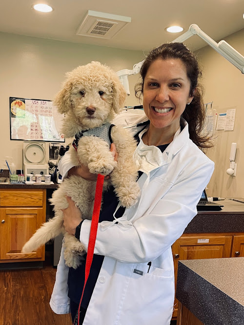  alt='Dr. Katie and her staff are exceptional! They are very thorough and knowledgeable. They keep my little guy healthy'