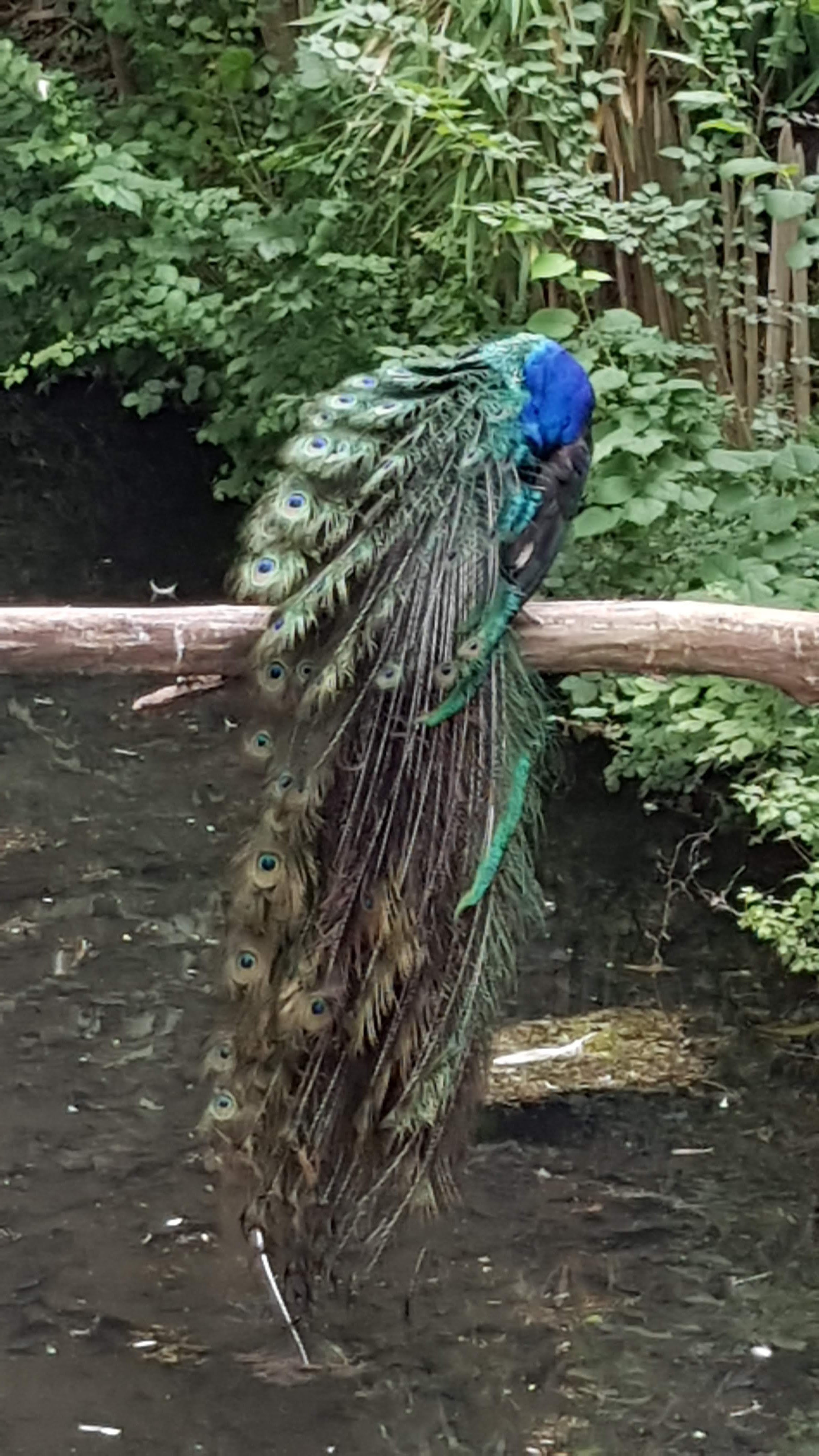 Photo n° 4 de l'avis de Jean-Pierre.l fait le 17/07/2018 à 09:39