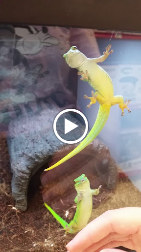 Pet Supply Store «Petco Animal Supplies», reviews and photos, 3264 Buford Dr NE #110, Buford, GA 30519, USA