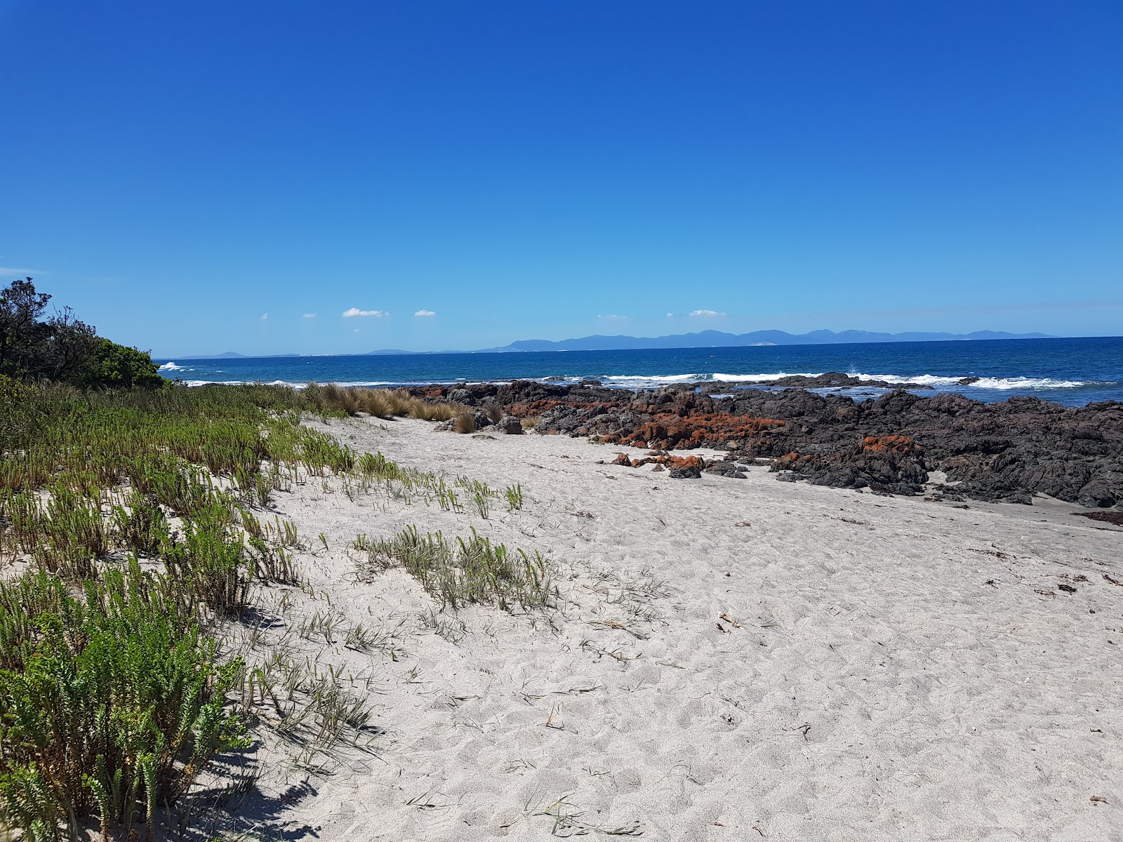 Fotografie cu Maitland Beach - locul popular printre cunoscătorii de relaxare