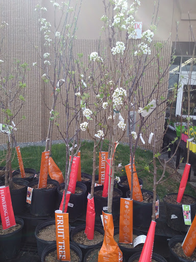 Discount Store «Walmart», reviews and photos, 6405 Dobbin Rd, Columbia, MD 21045, USA