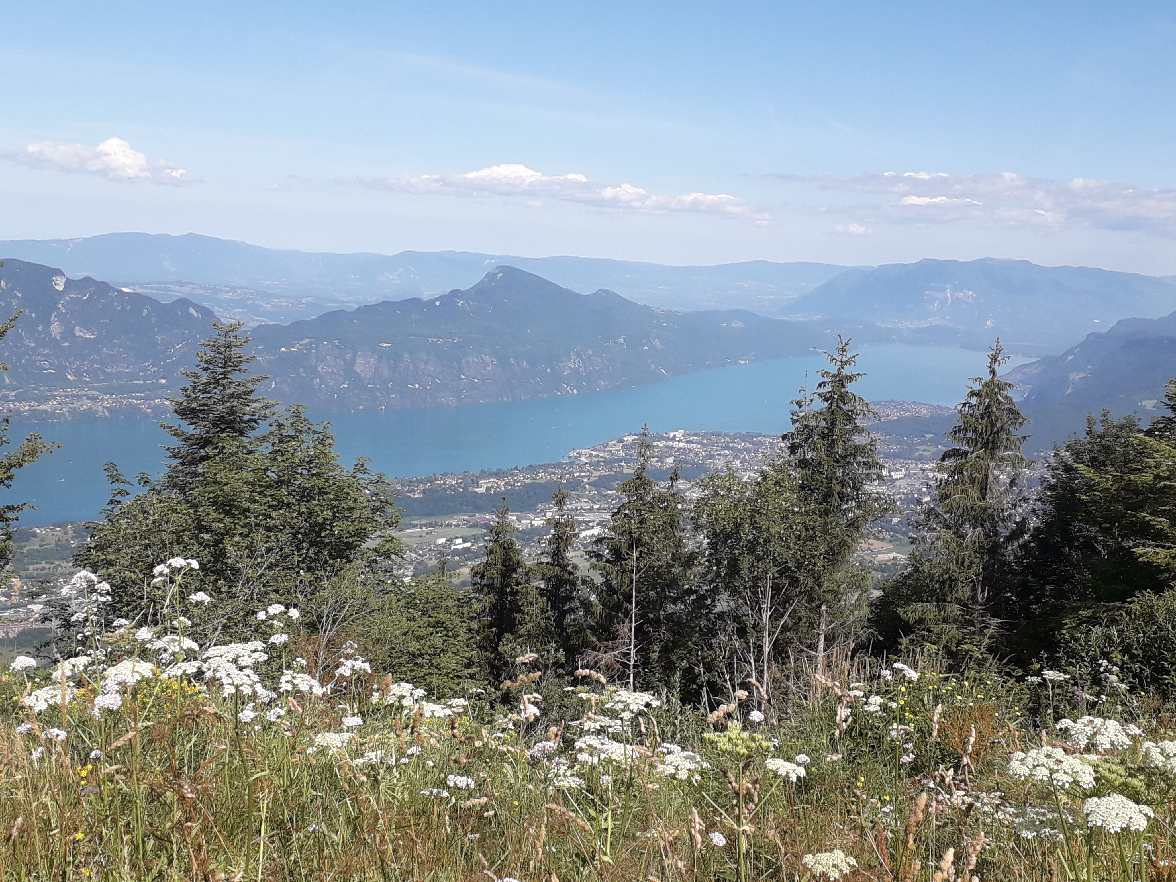 Photo n° 4 de l'avis de Aurore.E fait le 26/07/2020 à 10:20
