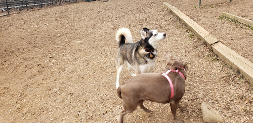 Dog Park «Forest Park Dog Run», reviews and photos, 8445 Park Ln S, Woodhaven, NY 11421, USA