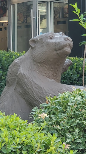 Shopping Mall «Cross County Shopping», reviews and photos, 8000 Mall Walk, Yonkers, NY 10704, USA