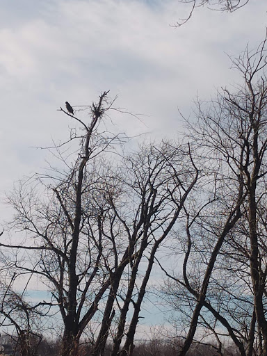 Nature Preserve «Rock Run Preserve - Paul V. Nichols Access», reviews and photos, Essington Rd, Joliet, IL 60435, USA