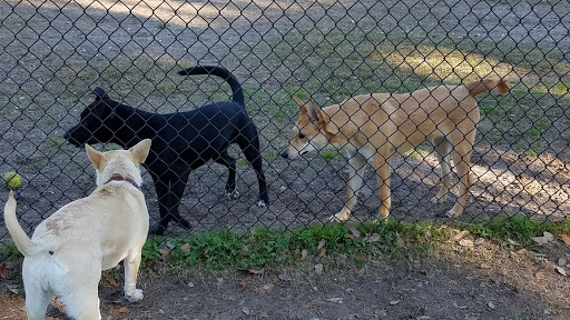 Park «Southside Park», reviews and photos, Southside Park Loop, Beaufort, SC 29902, USA