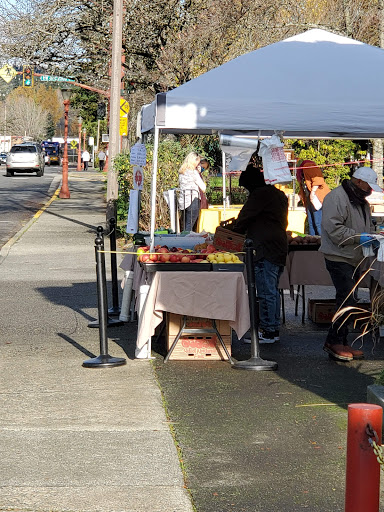 Community Center «Downtown Issaquah Association - Main Street Issaquah», reviews and photos, 232 Front St N, Issaquah, WA 98027, USA