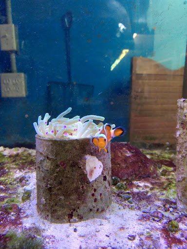 Pet Store «Marineland Pet Center», reviews and photos, 412 Oak Forest Dr, Onalaska, WI 54650, USA