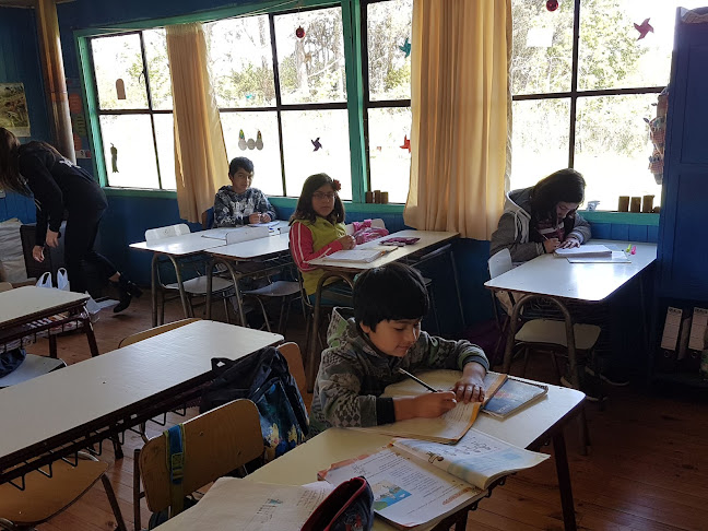 Escuela Particular Santa Elena - Escuela
