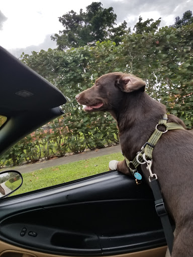 Golf Course «Pembroke Lakes Golf», reviews and photos, 10500 Taft St, Pembroke Pines, FL 33026, USA