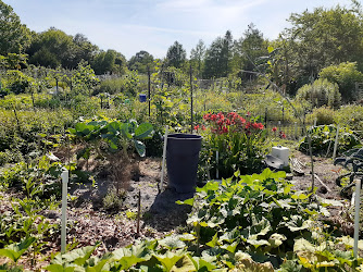 UF Organic Garden