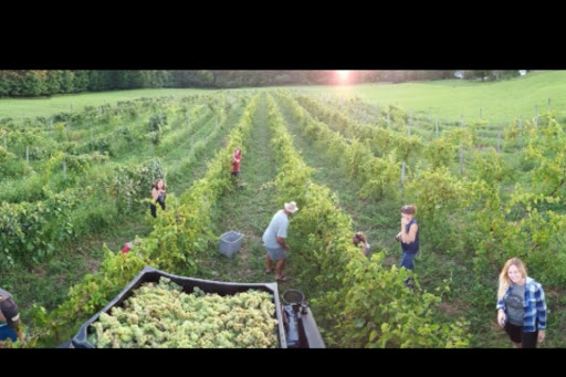 Winery «Chateau Dusseau», reviews and photos, 5292 Erron Hill Rd, Locke, NY 13092, USA