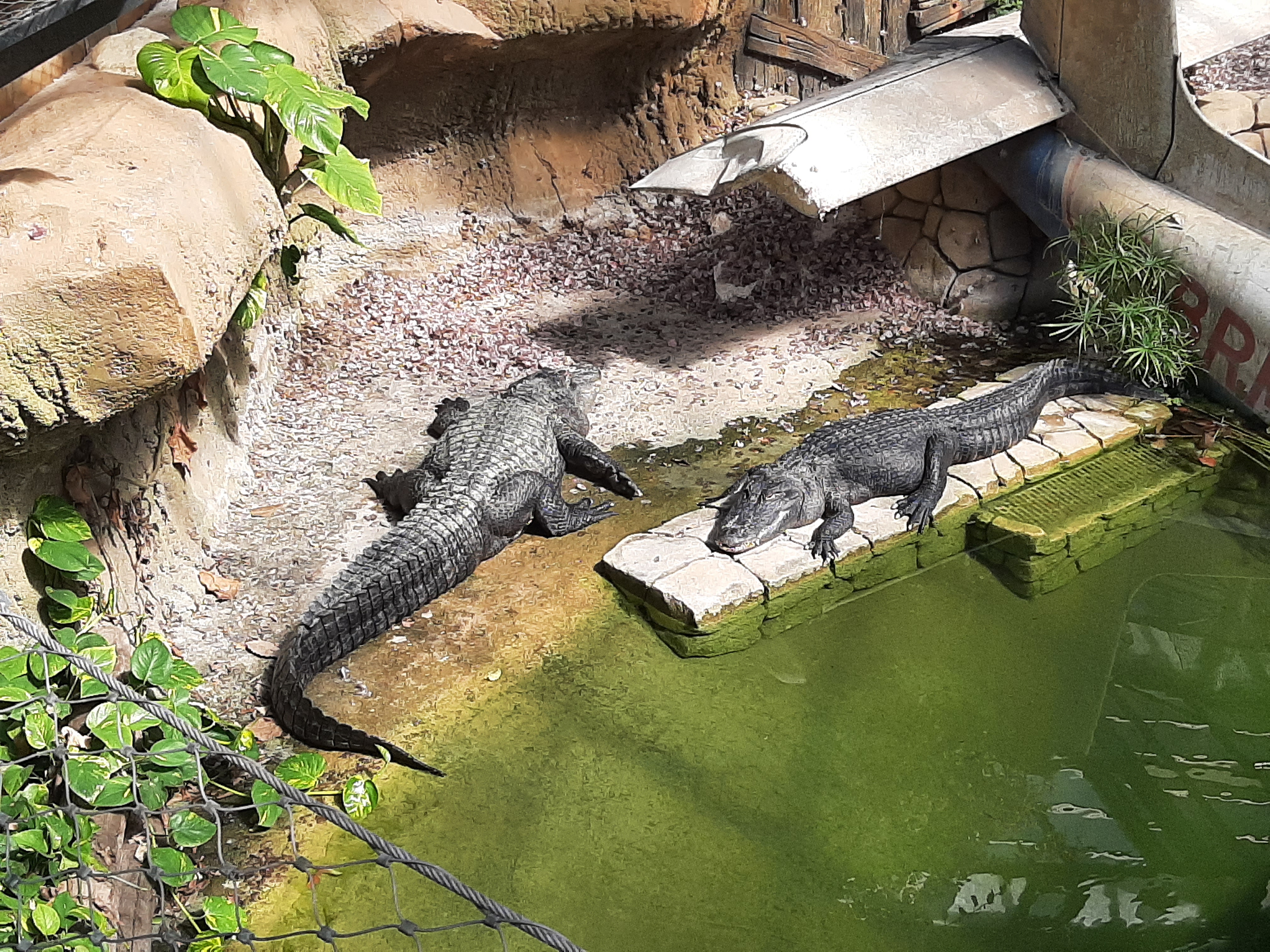 Photo n° 15 de l'avis de Romain.h fait le 29/05/2022 à 15:00