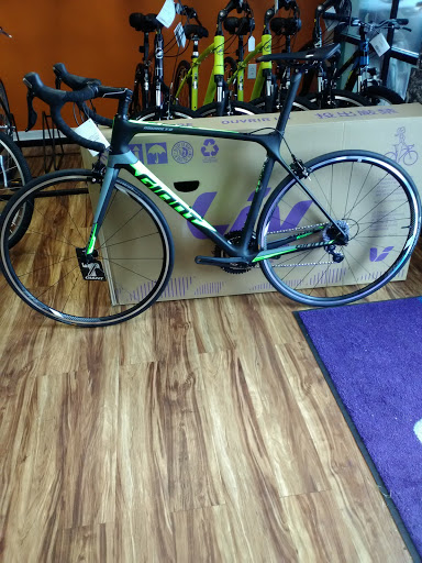 Bicycle Store «BikeSport», reviews and photos, 3970 Tampa Rd, Oldsmar, FL 34677, USA