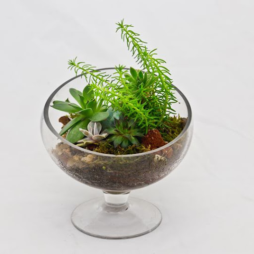 Florist «Fremont Flower Pavilion — The Fremont Florist», reviews and photos, 2090 Warm Springs Ct #148, Fremont, CA 94539, USA