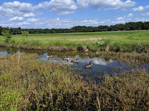 Museum «LSU Rural Life Museum», reviews and photos, 4560 Essen Ln, Baton Rouge, LA 70808, USA