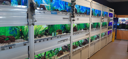 Pet Supply Store «Petco Animal Supplies», reviews and photos, 1100 Middle Country Rd, Selden, NY 11784, USA