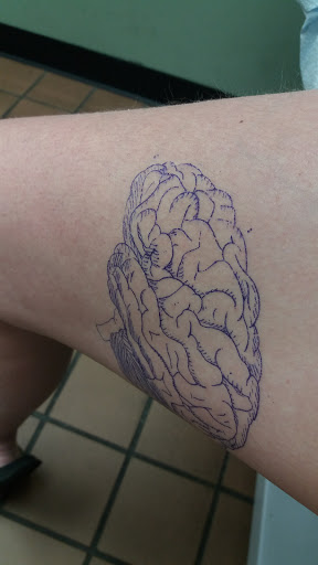 Tattoo Shop «Lark Tattoo», reviews and photos, 278 Lark St, Albany, NY 12210, USA