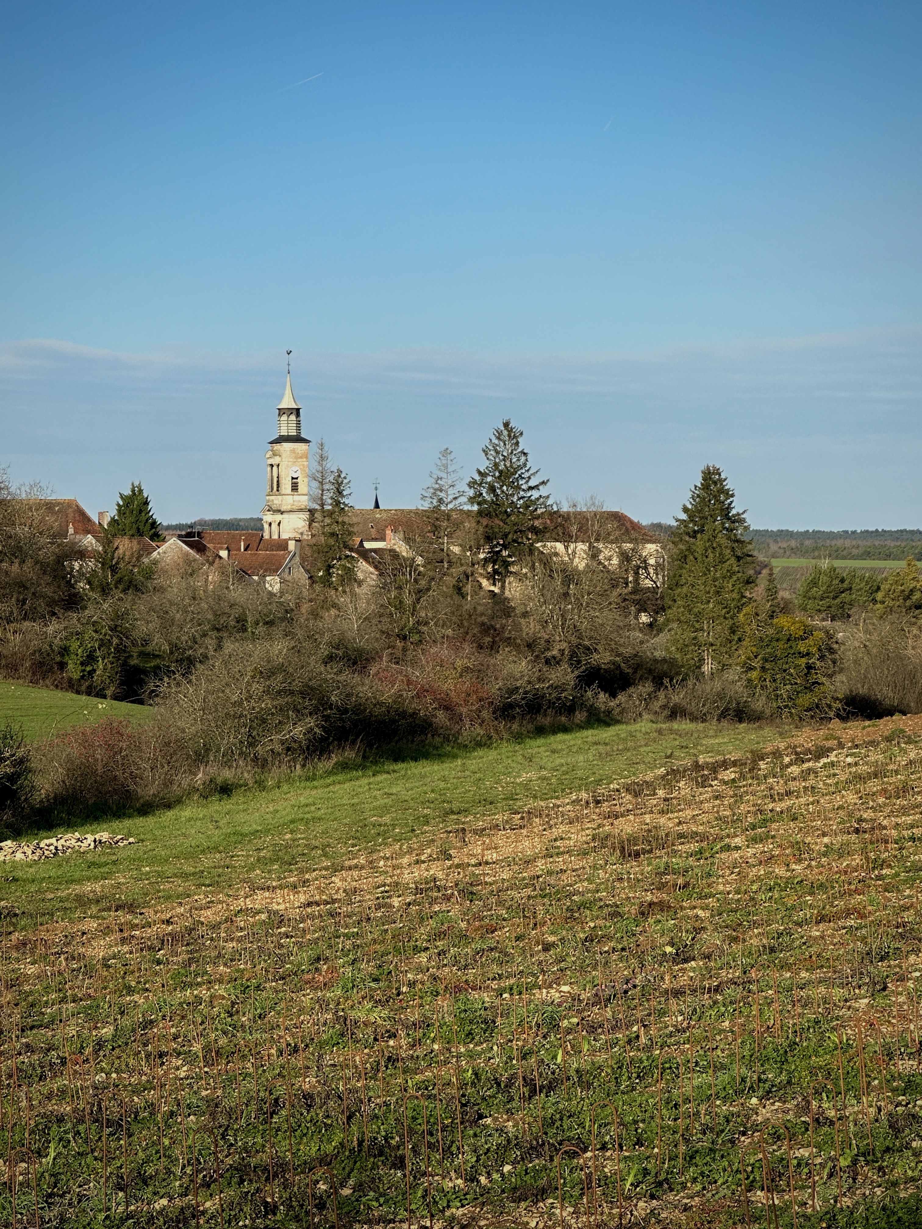 Photo n° 5 de l'avis de Laurent.u fait le 25/12/2022 à 19:44