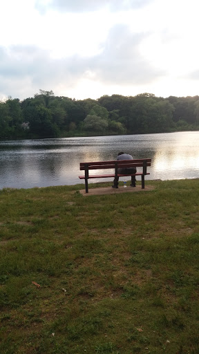 Grocery Store «Purchase Street Market Inc», reviews and photos, 89 Purchase St, Milford, MA 01757, USA