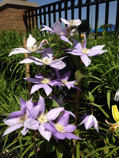 Florist «Ray Hunter Florist & Garden», reviews and photos, 16153 Eureka Rd, Southgate, MI 48195, USA