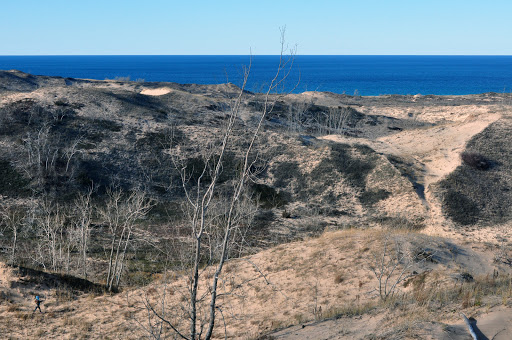 Tourist Attraction «Dune Climb», reviews and photos, 6748 S Dune Hwy, Glen Arbor, MI 49636, USA