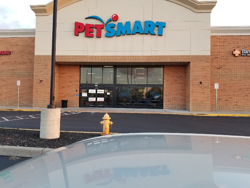 Pet Supply Store «PetSmart», reviews and photos, 1157 E North Ave, Belton, MO 64012, USA
