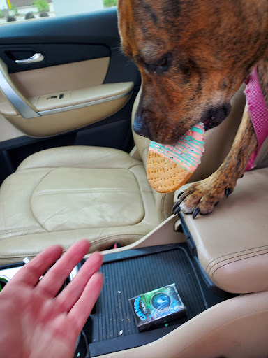 Pet Supply Store «Chow Hound Pet Supplies», reviews and photos, 518 N Beacon Blvd, Grand Haven, MI 49417, USA