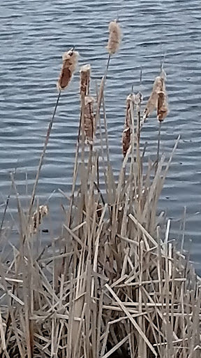 Lodge «The Lodge at Liberty Forge», reviews and photos, 3804 Lisburn Rd, Mechanicsburg, PA 17055, USA