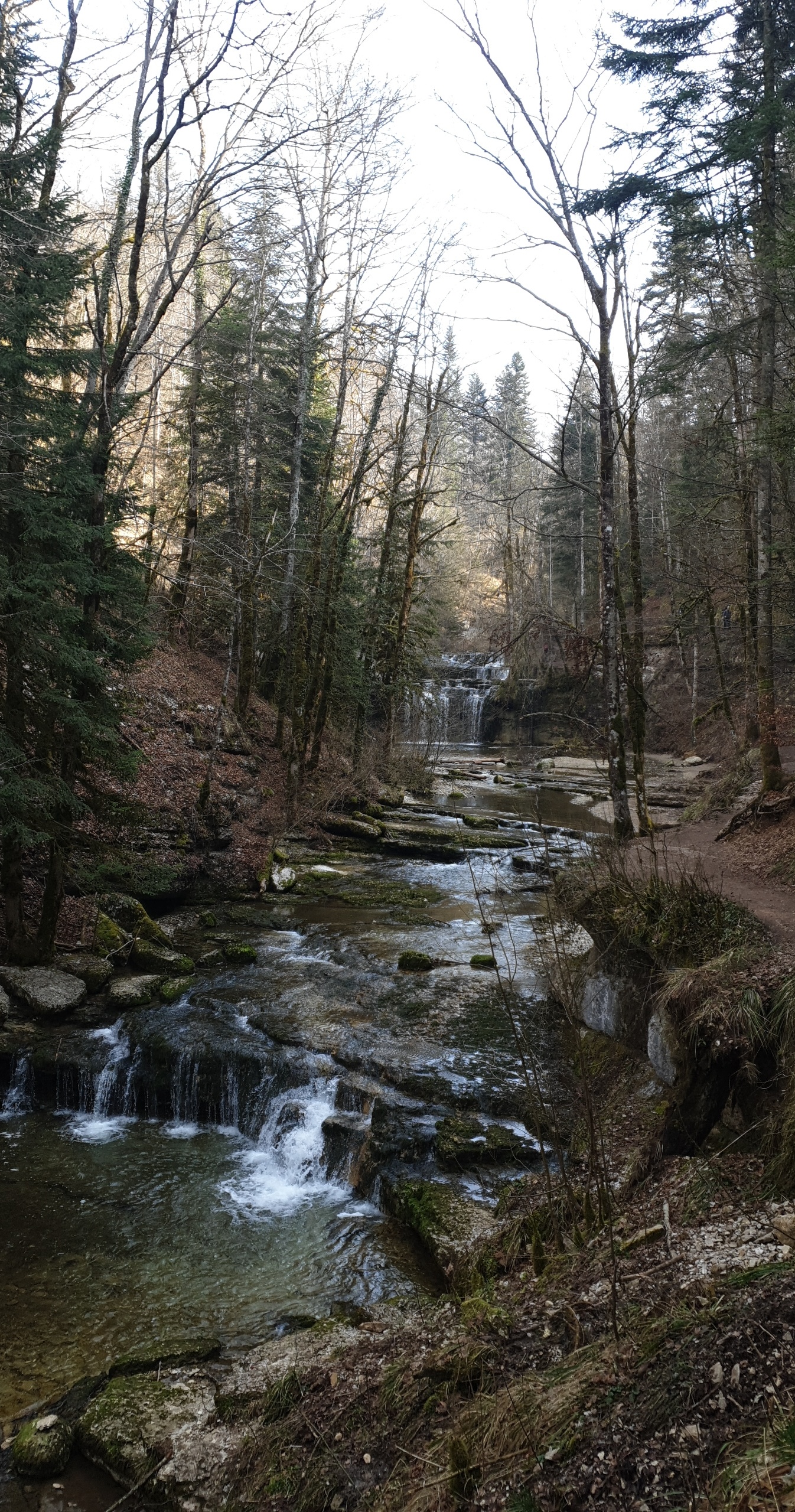 Photo n° 13 de l'avis de pirrera.o fait le 12/03/2021 à 07:17