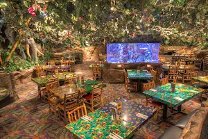 Rainforest Cafe image