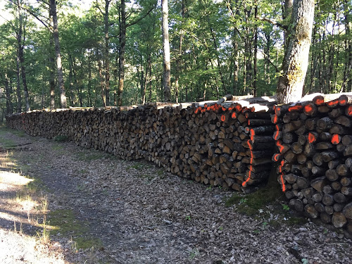 Bois de chauffage et Piquets à Thorée-les-Pins